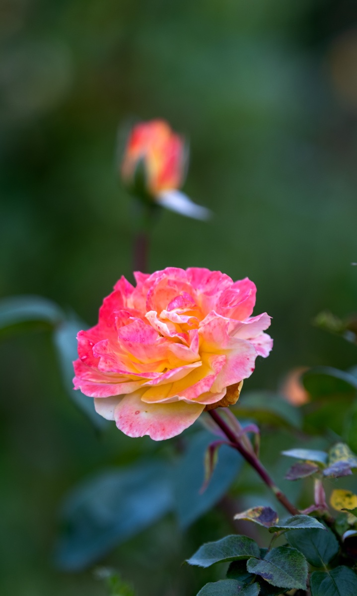 B407B965-46A3-4A25-BADB-8A84FEA37EF4.jpeg
