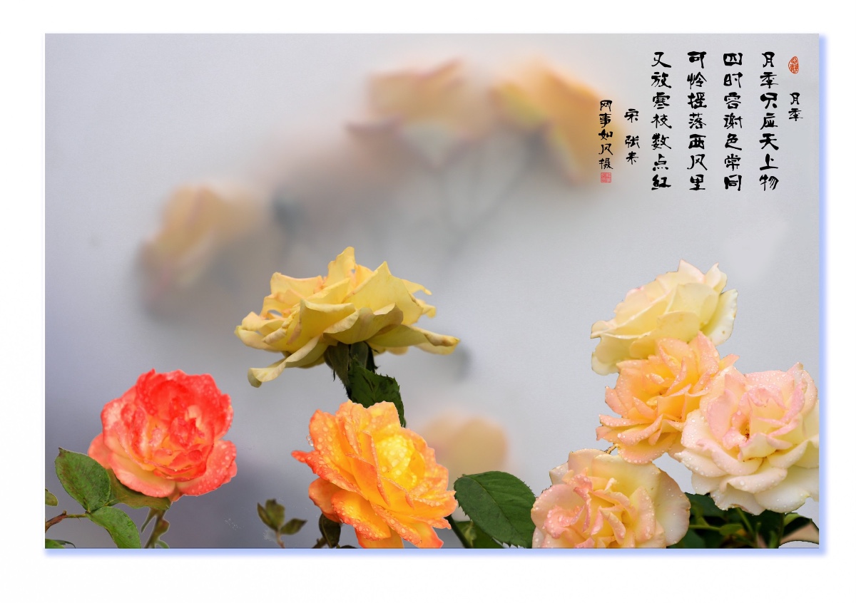 50642723-5DC3-4A67-AB93-E45950DB0BEF.jpeg