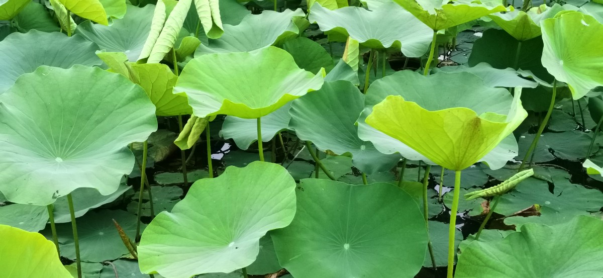 微信图片_202305262113417.jpg 微信图片_202305262113417.jpg
