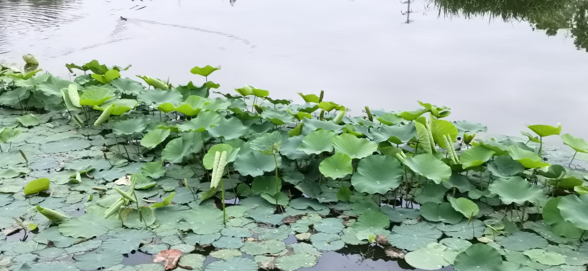 微信图片_202305262113416.jpg 微信图片_202305262113416.jpg