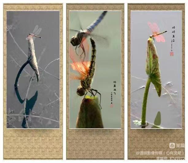 微信图片_20230711171404.jpg 微信图片_20230711171404.jpg