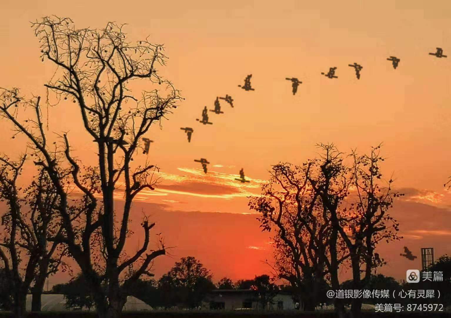 微信图片_20230711171507.jpg 微信图片_20230711171507.jpg