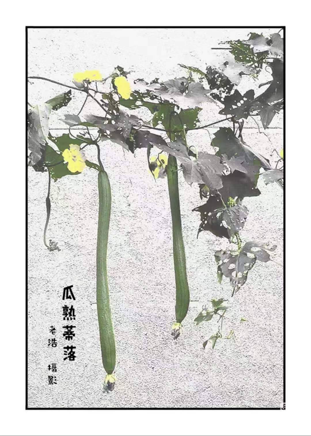 微信图片_20230711171501.jpg 微信图片_20230711171501.jpg