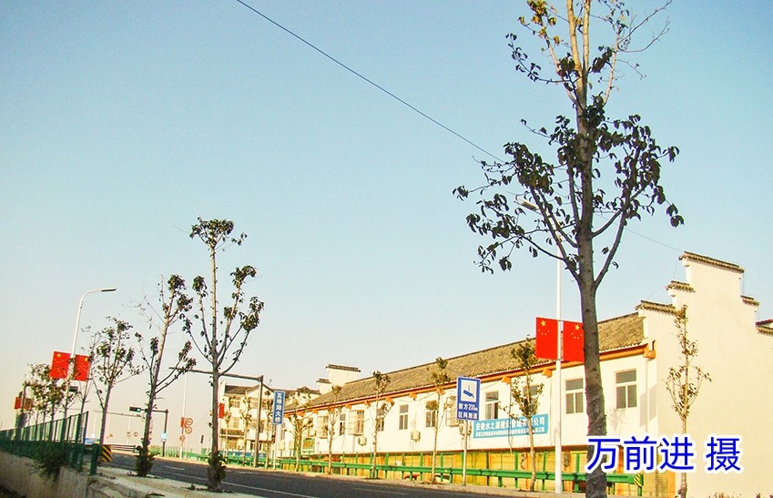 02DSC03634_副本_副本.jpg