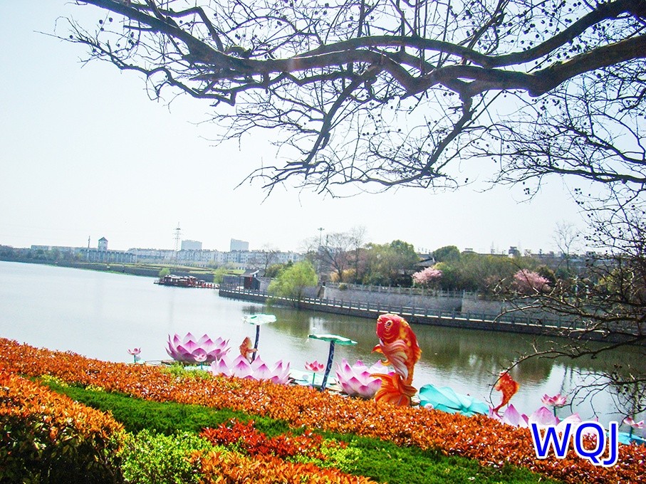 DSC06124_副本_副本.jpg