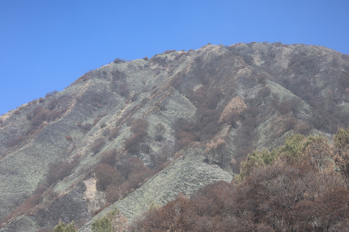 GI9A0198.JPG