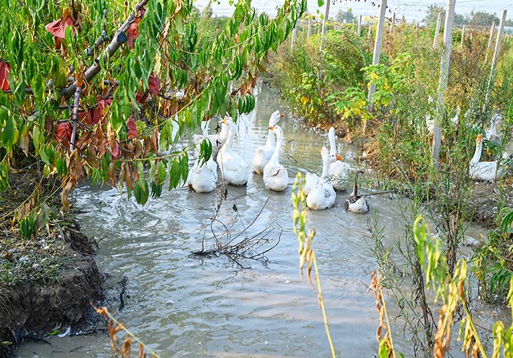 DSC_1642_副本.jpg