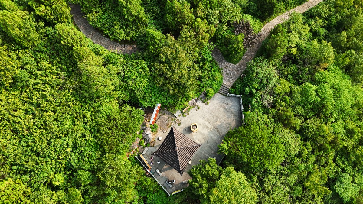 DJI_20240831082934_0286_D.JPG