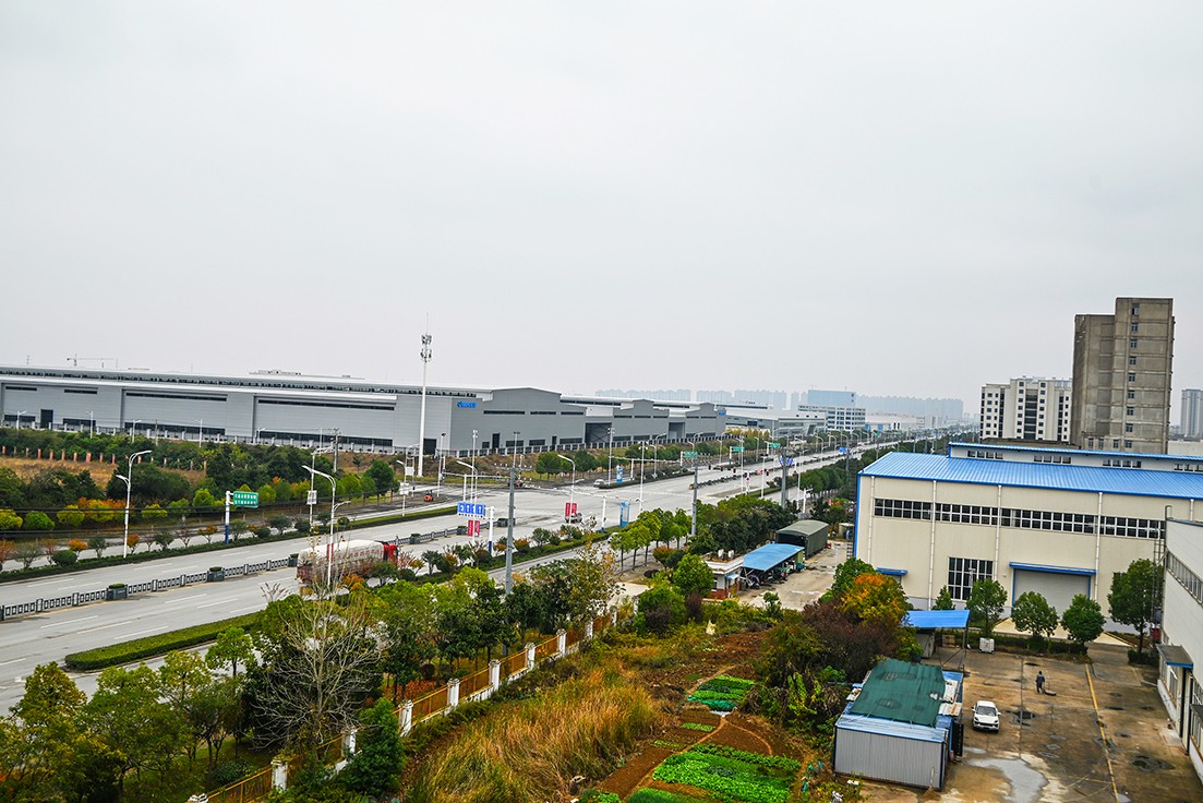 DSC_1365_副本.jpg