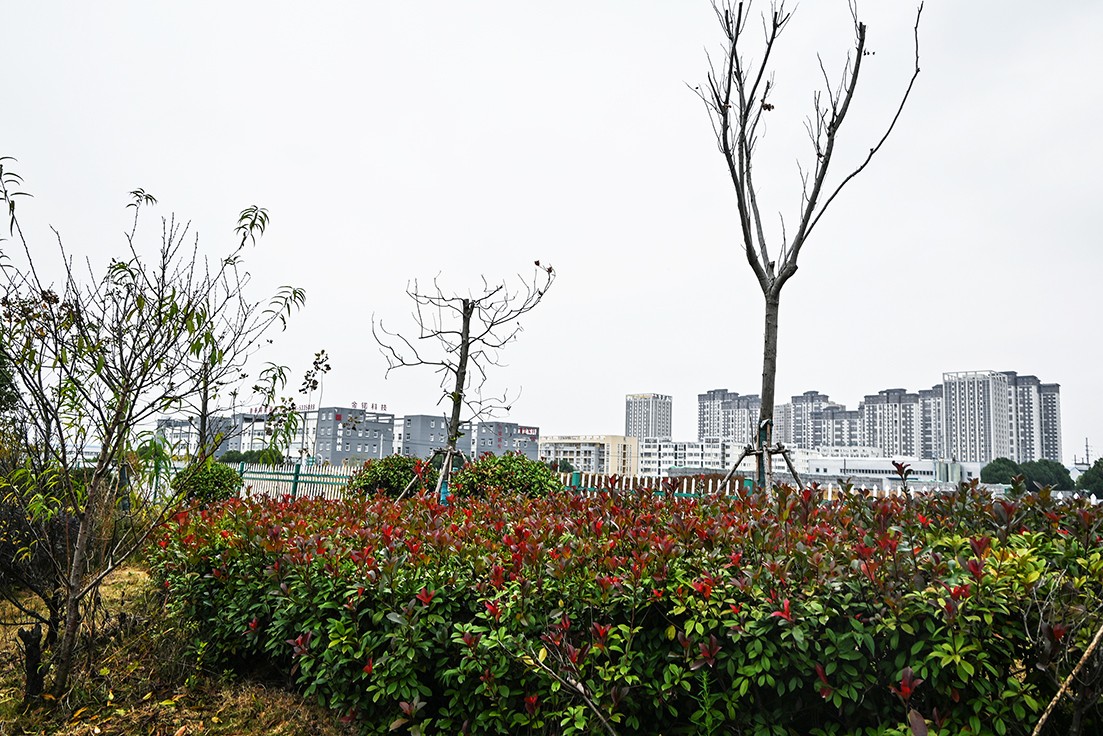DSC_1407_副本.jpg