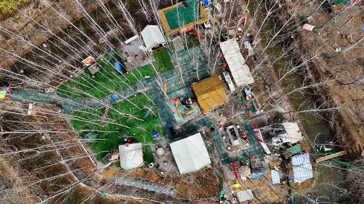 DJI_20250203114118_0392_D.JPG
