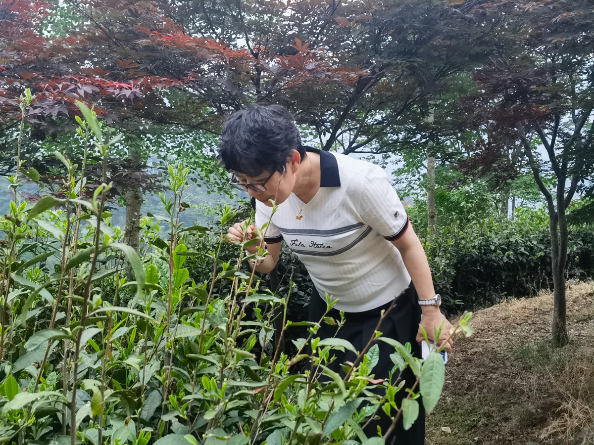 微信图片_20250510210000.jpg