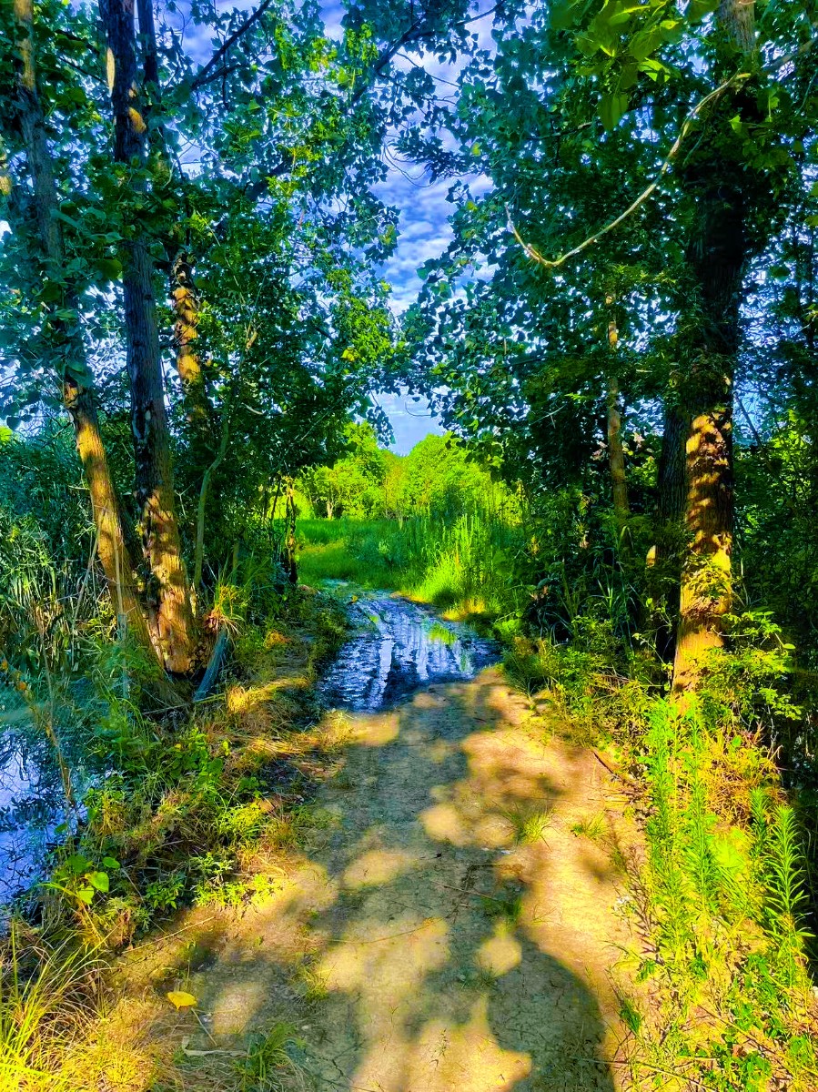 MEITU_20250720_105904432.jpg
