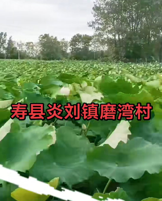 微信图片_20260706170107_1523_12.png