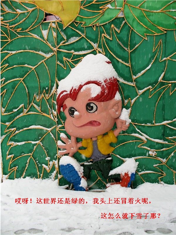 雪的童话—2008年第一场雪