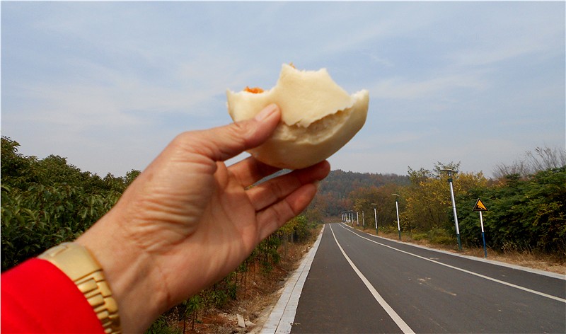 用脚步去丈量，用相机去记录——淮南舜耕山风景区环山路环行记（三）