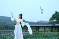 淮南 豆腐西施