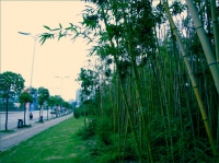 摄影学习日记2011-08-24