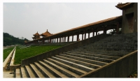 我的“百草园”