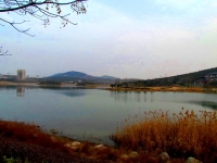 龙泉小景