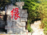 缘之路