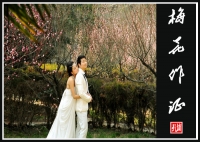 梅花作证
