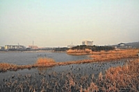 龙泉小景