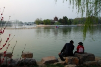 桃红柳绿话龙湖