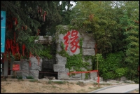 春至龙湖（四）