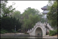 春至龙湖（五）