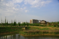 家乡美（六）