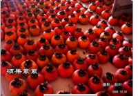秋韵