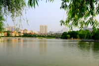 龙湖之夏