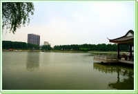 龙湖初夏