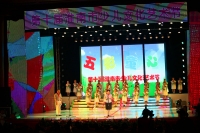 第十届淮南市少儿文化艺术节演出
