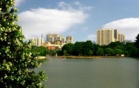 龙湖一角