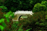 小拱桥