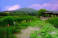 小景