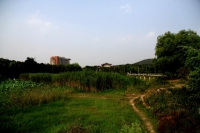 小景