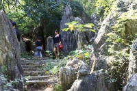 八公山石林