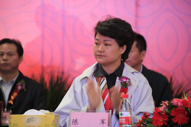 陕汽重卡淮南线正式投产暨新能源重卡下线