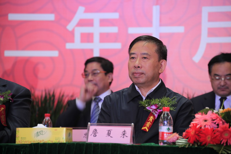 陕汽重卡淮南线正式投产暨新能源重卡下线