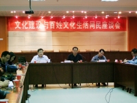 淮南市文化建设与百姓文化生活网民座谈会