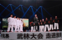 武林大会，走进淮南，中英对抗赛一。