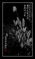 离离原上草