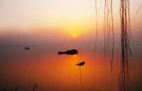 窑河晨韵