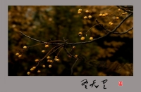 冬天里的四顶山