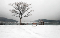 2012年的第一场雪
