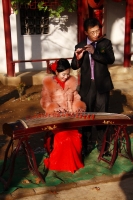 琴瑟和乐