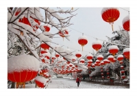春雪贺瑞年